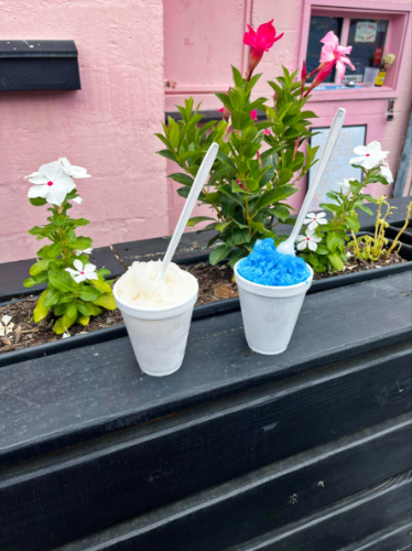 Two cups of blue and white Snowballs from Icy Boys