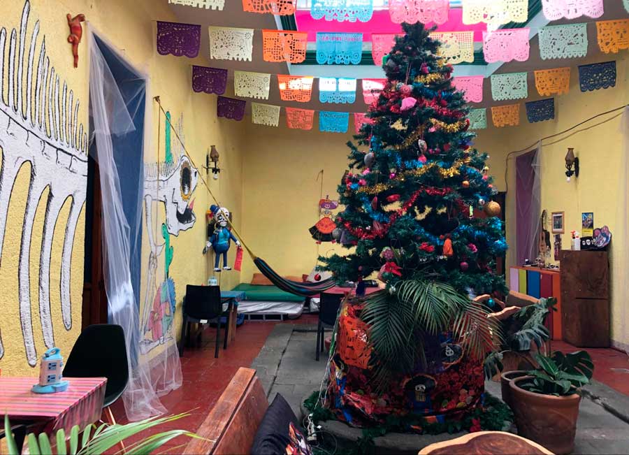 A Christmas tree displayed inside the Iguana Hostel