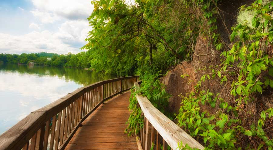 View from a boardwalk in Ijams Nature Center
