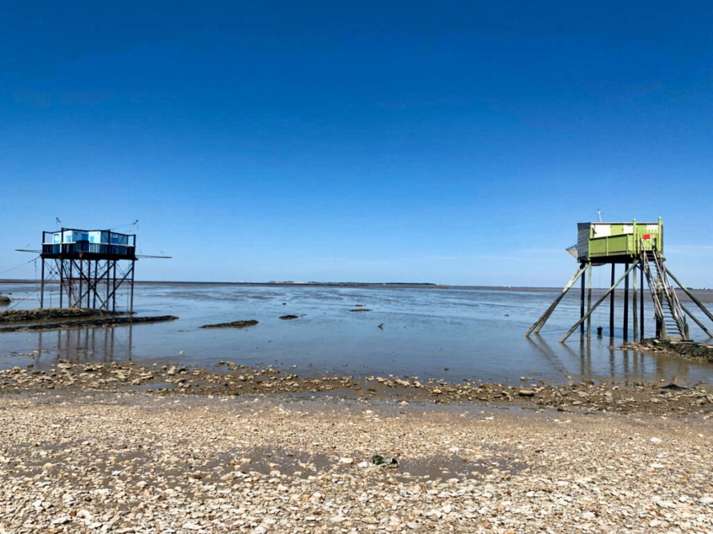 View of the pebbly shoreline and clear blue sky at the Île Madame