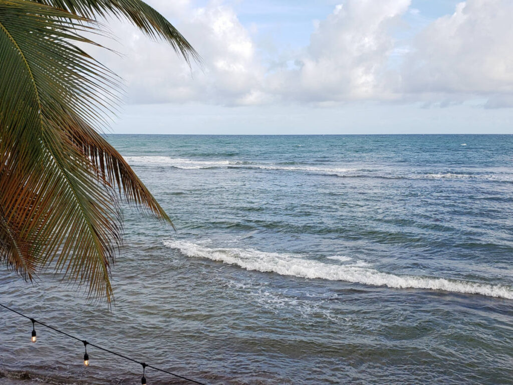 Ocean view seen from above at Inches Beach
