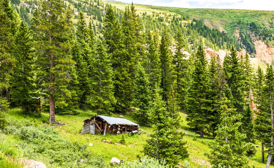 An abandoned wooden house surrounded by pine trees in the middle of Rocky Mountain