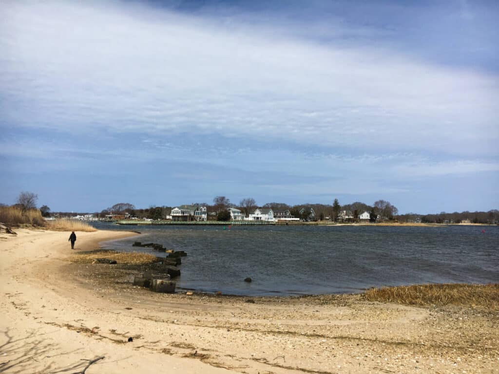 Blue sky over the Indian Island County Park