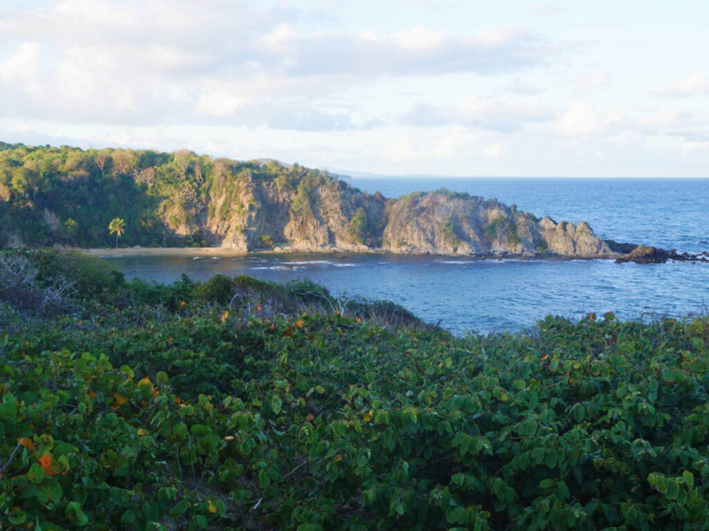 Overlooking view of the Ines Maria Mendoza Nature Reserve