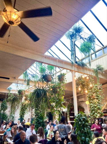 View of the crowd inside the Casa do Frango London Bridge with earthly decor