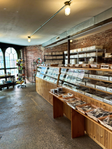 Inside the Krause’s Chocolates