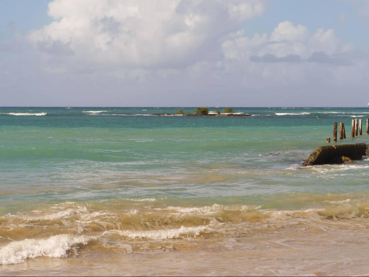 View of the tranquil Isla Verde cay and the marine reserve from the shoreline
