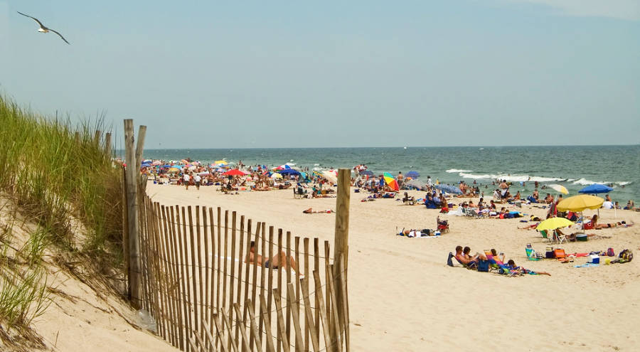People enjoying their day during a sunny morning in Island Beach State Park