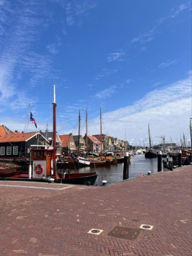 A sunny day at Urk harbor, featuring boats and buildings along the waterfront