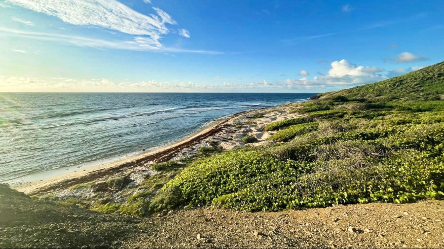 A sunny day at a secluded beach in Isaac’s Bay