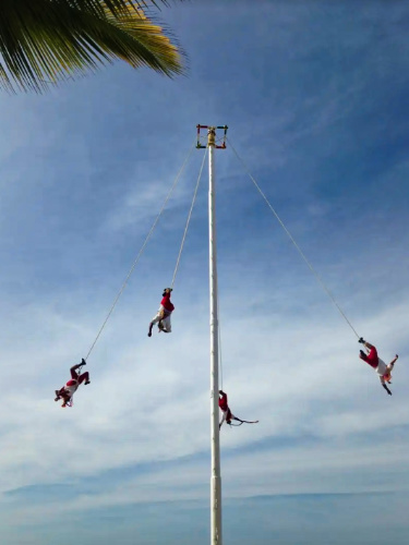 View of the famous Jalisco bird dancers on a tall pole