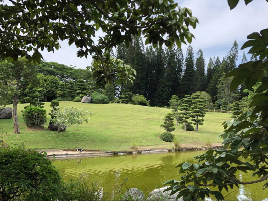Panoramic view of the greenery around the Japanese Garden at the Jardin Botanico Nacional