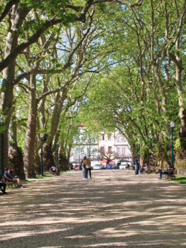 View of the Tree-lined paths of Jardim da Cordoaria