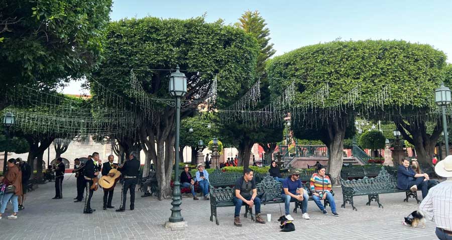 View of people in Jardín Allende