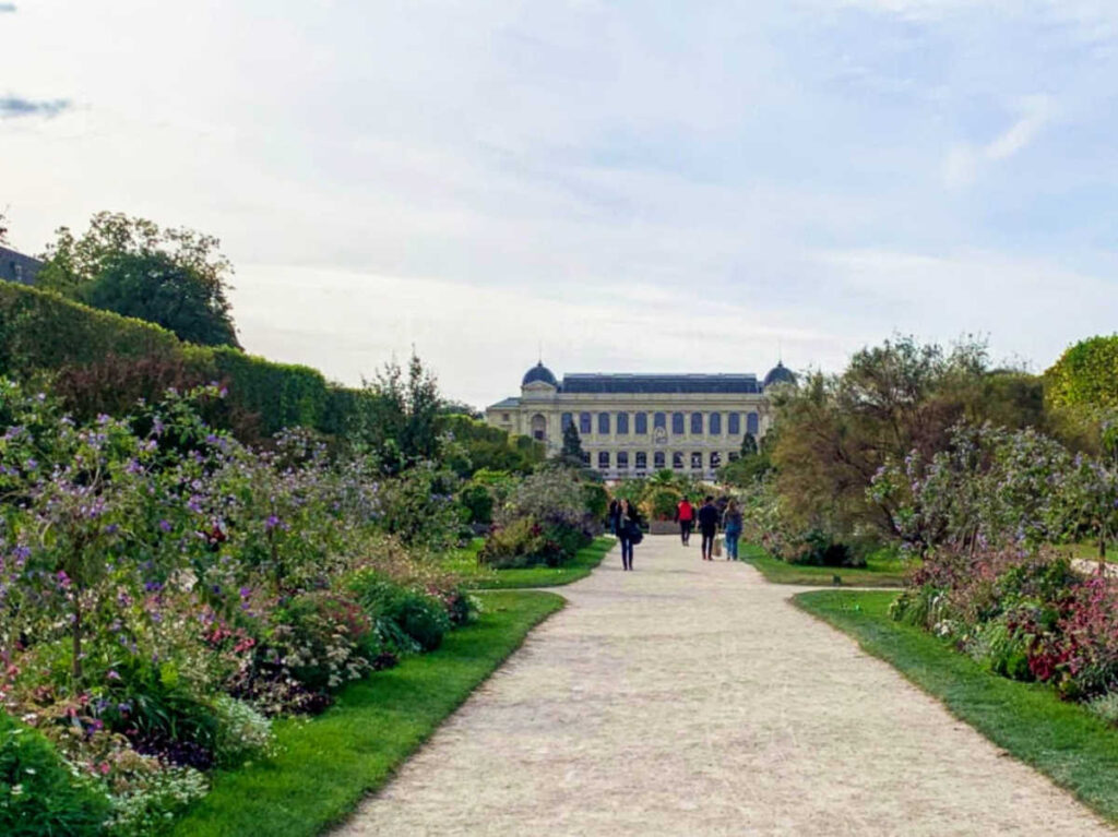 View of the foliage-lined walkway at the Jardin des Plantes