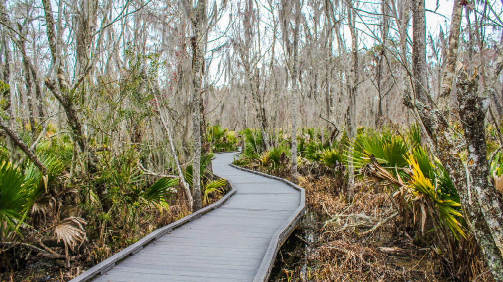 View of a boardwalk in Jean Lafitte National Historical Park and Preserve