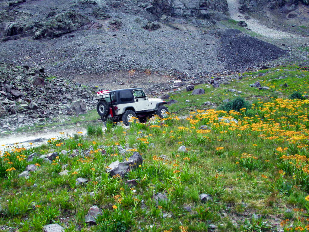 A jeep near the field of wildflowers in Colorado