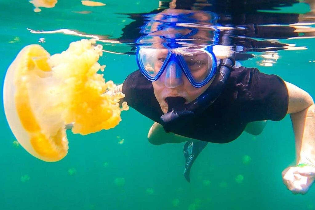 Rachel Davey of Very Hungry Nomads snorkeling under the water of Jellyfish Lake