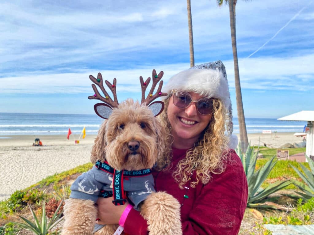 The author Jess Levy on a Santa costume with her dog on reindeer costume at Powerhouse Beach