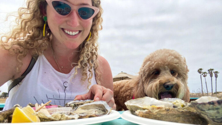 My Favorite Dog-Friendly Restaurants in San Diego