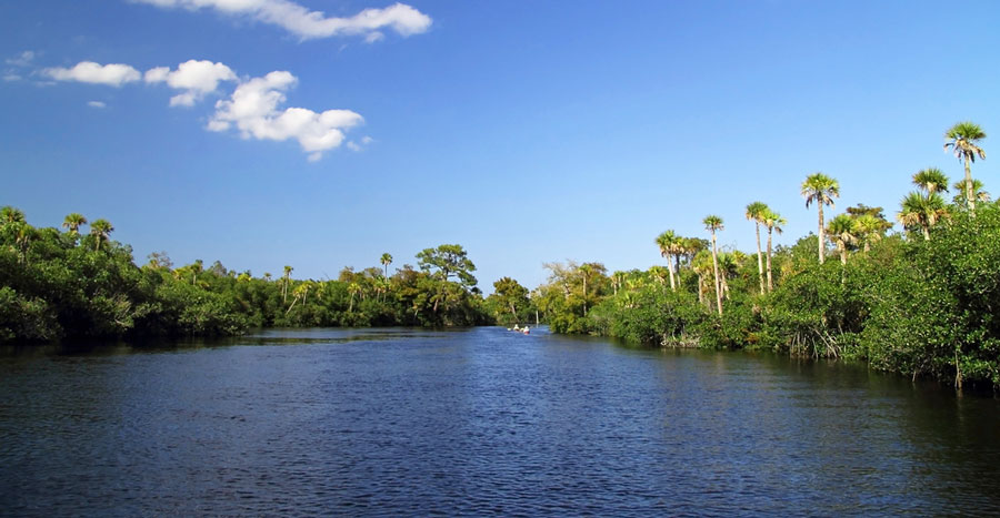 View of the Loxahatchee River