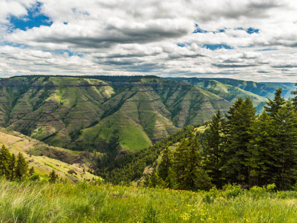 Overlooking view of the lush Nez Perce Historic Site from the Joseph Canyon Viewpoint