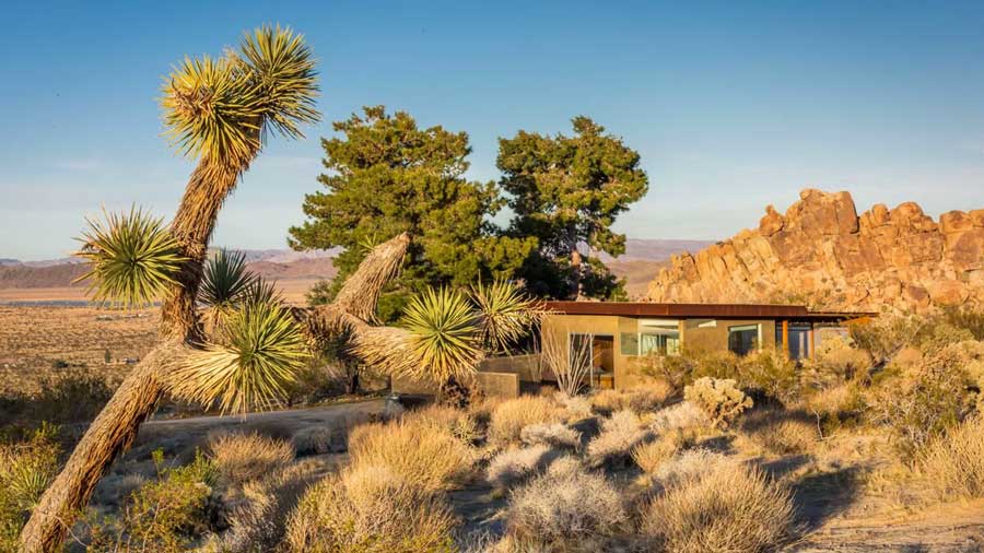 A luxurious desert house in Joshua Tree