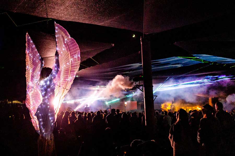 View of people having fun partying in Joshua Tree Music Festival
