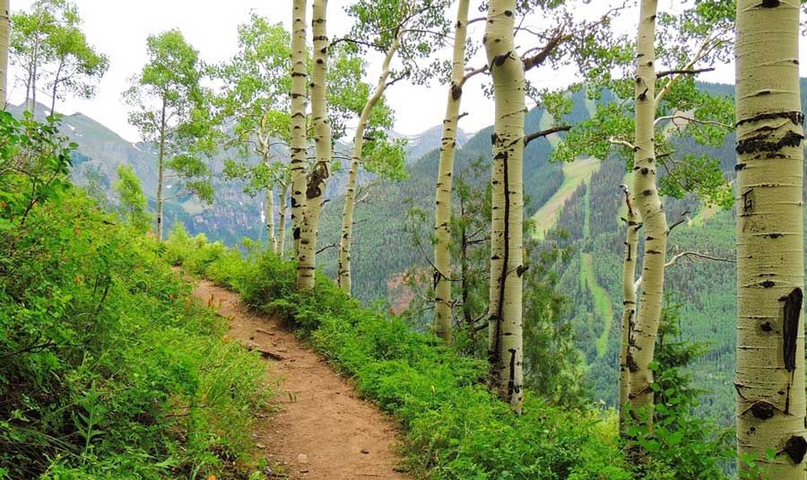 View while on a hike in Jud Wiebe Trail