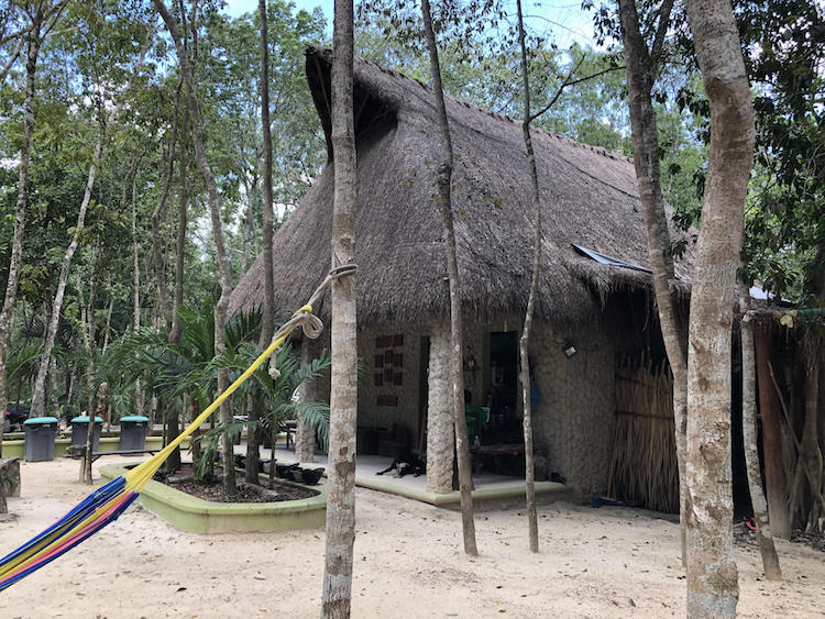View of a lodging on a jungle in Playa del Carmen