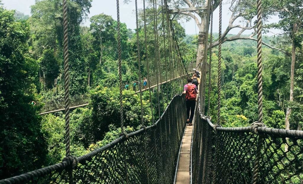 People crossing a hanging bridge in Kakum National Park