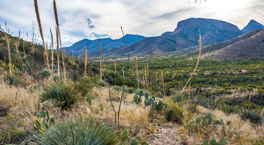 An overlooking view of a majestic landscape near Kartchner Caverns