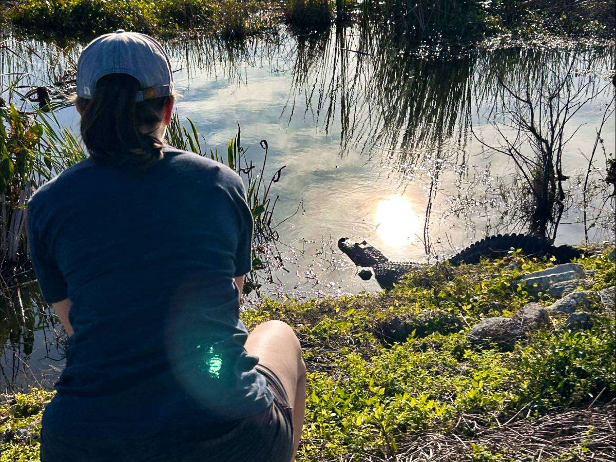 The author Katie watching closely the alligator on the water