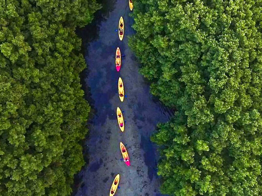 Aerial view of a group of kayakers in the middle of the river surrounded by greenery