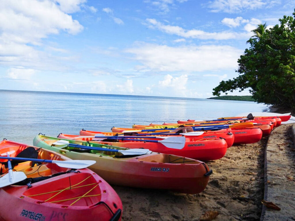 View of the colorful kayaks lined along the shoreline in Ensenada Yegua
