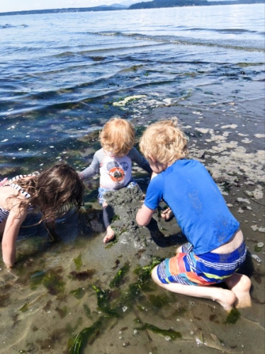 View of the kids playing with the sand at Alki Beach Park