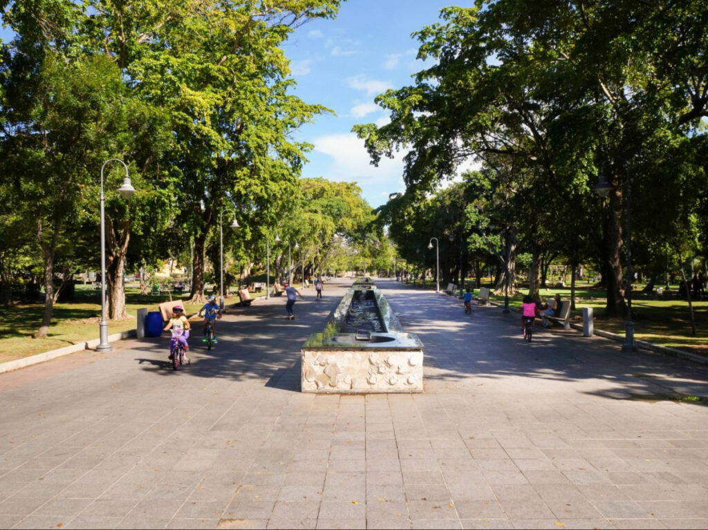 The kids cycling and playing at the Parque Luis Muñoz Rivera