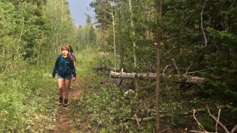 Group of kids walking on a hike path surrounded by lush greenery