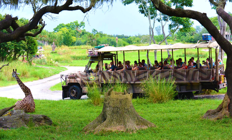 View of tourists on a bus having a trip in Kilimanjaro Safaris