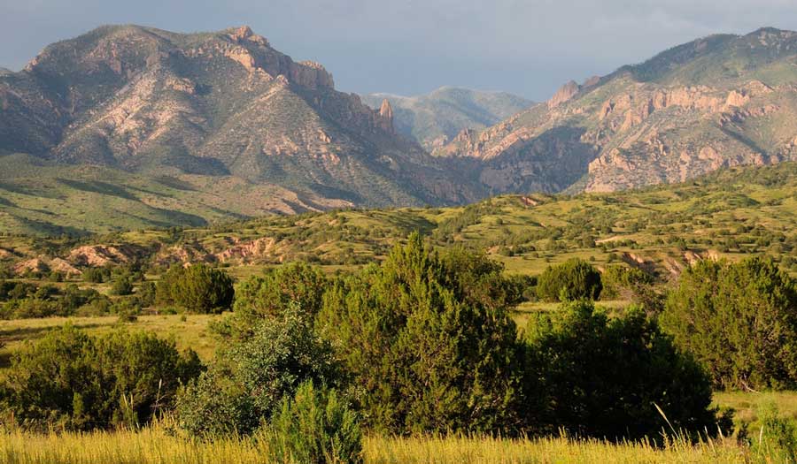 Overlooking view at the Gila National Forest