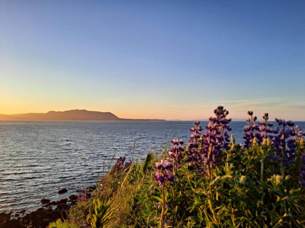 Scenic view during sunset in Kodiak