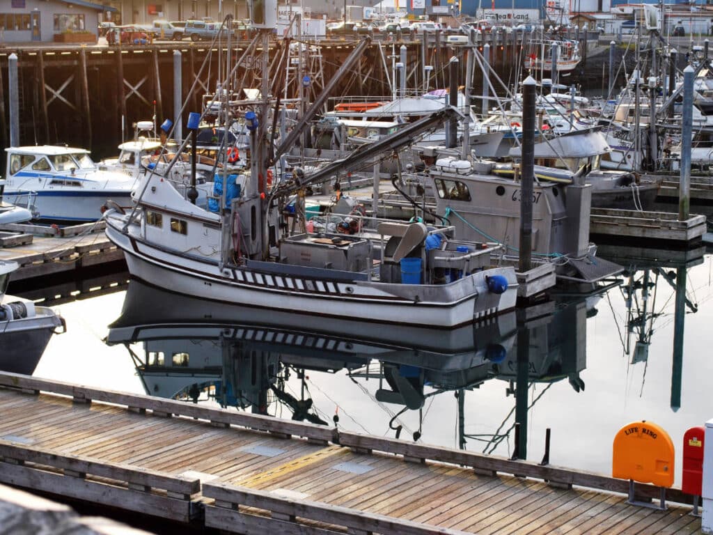 View of boats at the Kodiak’s City Harbor