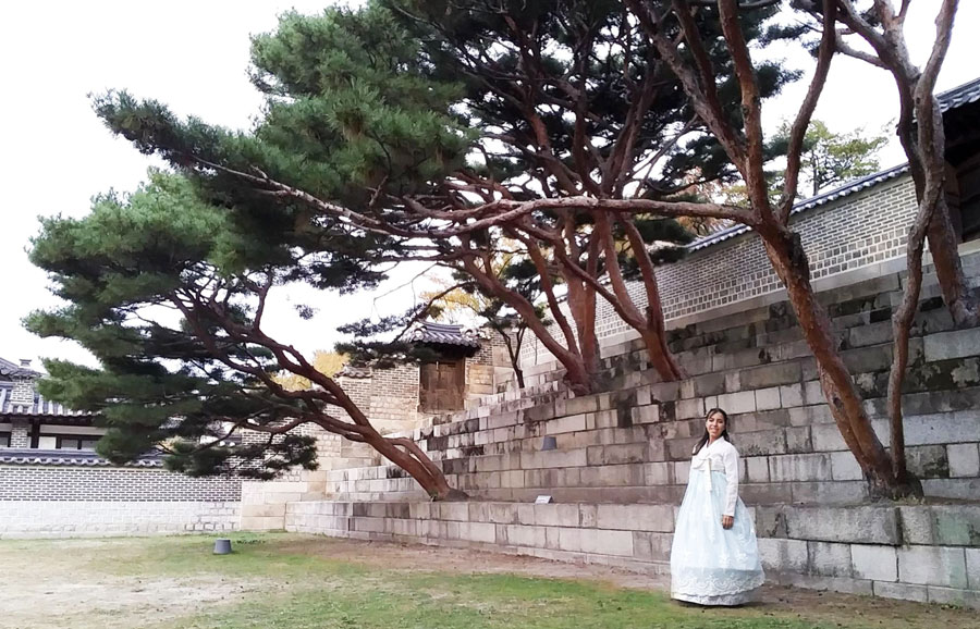 View of the author wearing a beautiful Hanbok