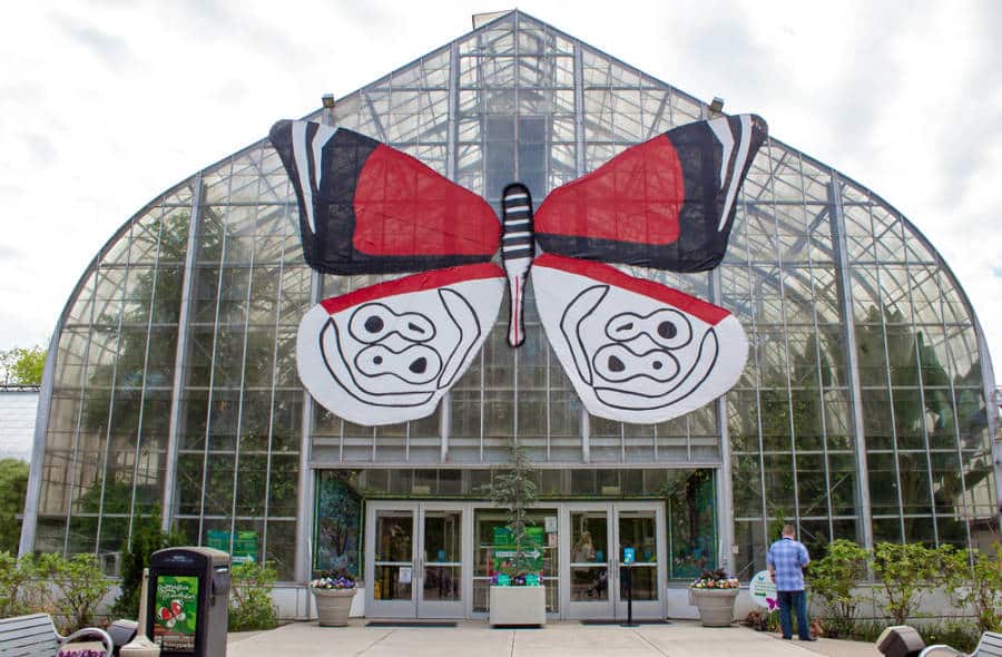 Exterior view of the Krohn Conservatory with a huge butterfly