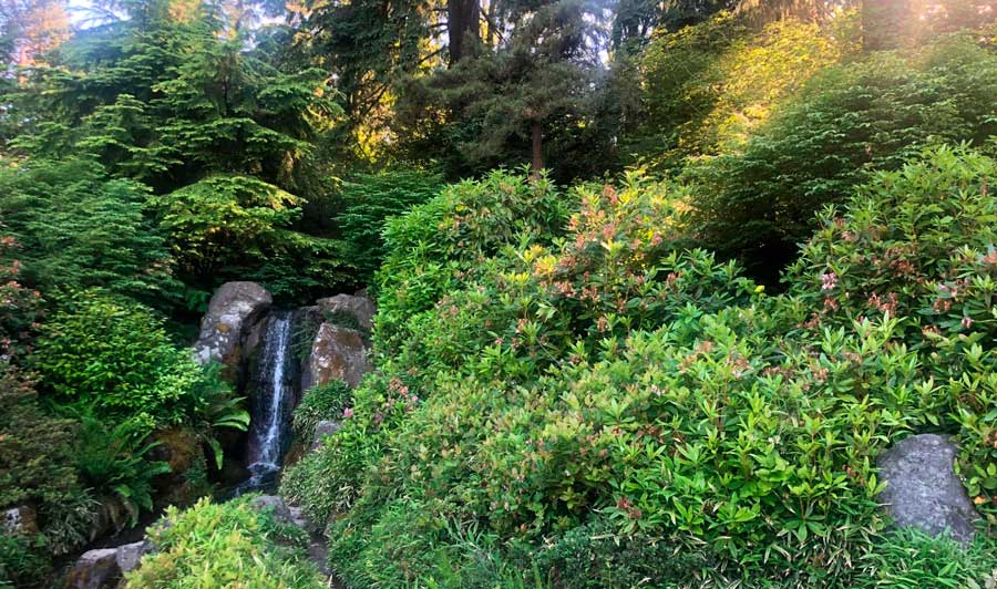 View from the Kubota Gardens