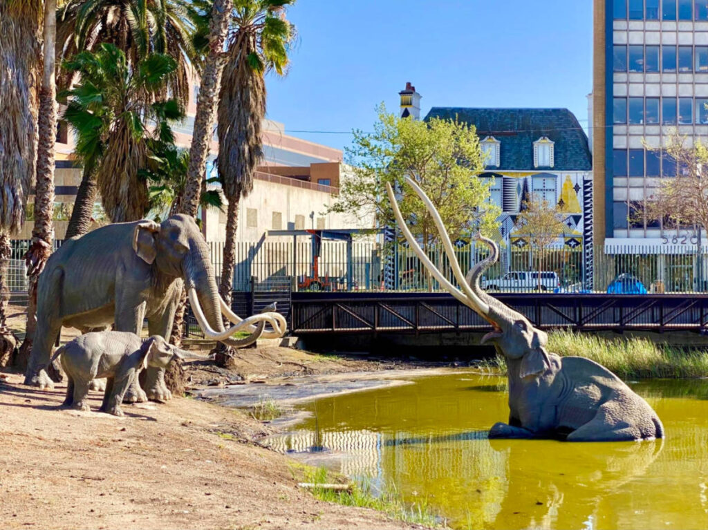Statue of elephants standing in a pond at the La Brea Tar Pits
