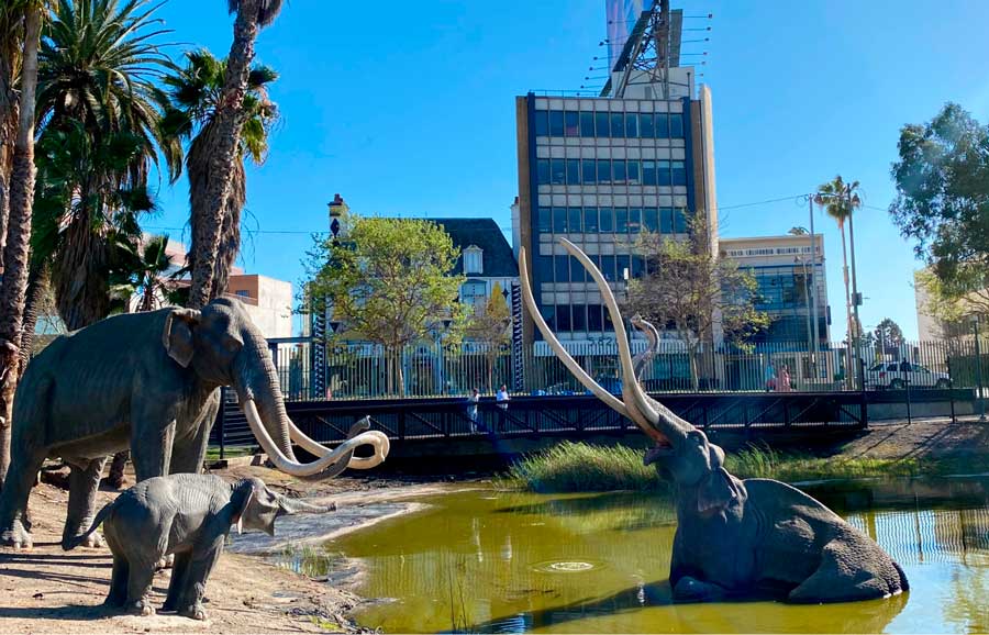 Elephants statue in La Brea Tar Pits and Museum