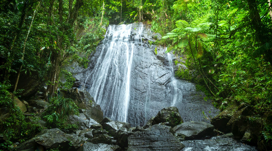 View of the La Cocoa Falls in El Yunque
