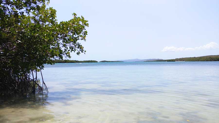 View of the La Jungla Beach in Guanica