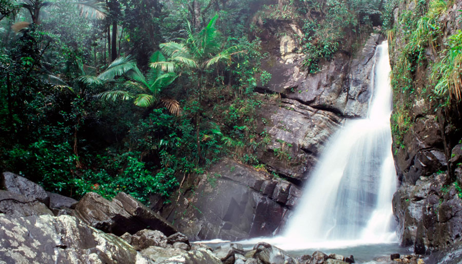View of the La Mina Falls in El Yunque National Forest